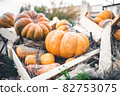 Bright orange Halloween pumpkins in a wooden crate 82753075