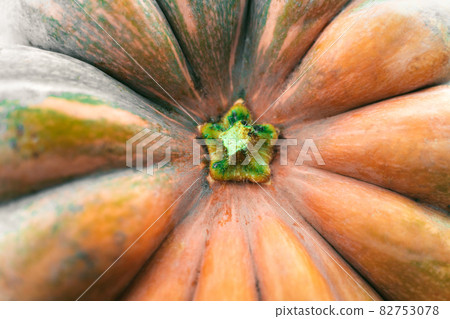 Closeup of bright orange pumpkin tail Closeup of bright orange pumpkin tail 82753078