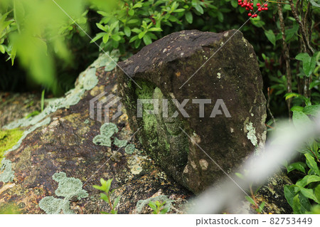 Idaira, Inasa-cho, Kita-ku, Hamamatsu-shi, Chokoji rainy season, Jizo Idaira, Inasa-cho, Kita-ku, Hamamatsu-shi, Chokoji rainy season, Jizo 82753449