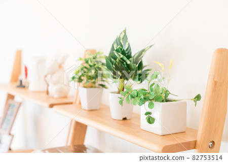 Plant decor interior Plant decor interior 82753514