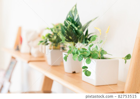 Plant decor interior Plant decor interior 82753515
