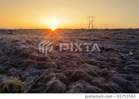 Dawn landscape with a frosty tundra and electric pylons. 82753593
