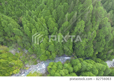 Beautiful valley in Japan "Atera Valley" where the river where the pure water that springs from the mountain flows and the beautiful forest of cypress spread 82756063