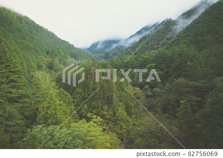 Beautiful valley in Japan "Atera Valley" where the river where the pure water that springs from the mountain flows and the beautiful forest of cypress spread Beautiful valley in Japan "Atera Valley" where the river where the pure water that springs from the mountain flows and the beautiful forest of cypress spread 82756069
