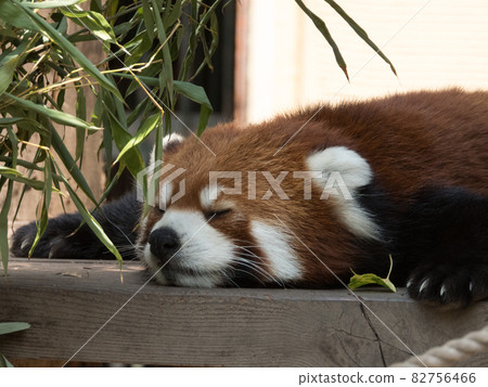 即將迎來熱浪 82756466