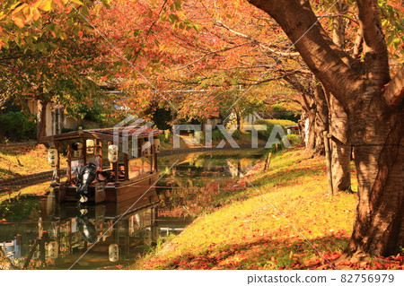 Fushimi autumn 82756979