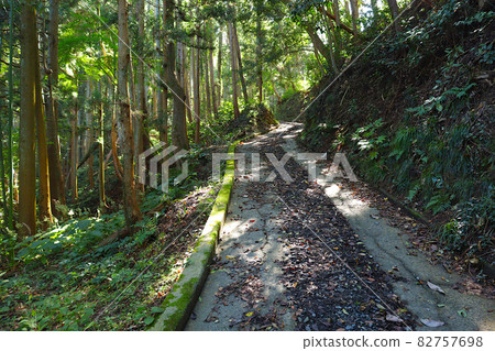 A steep slope in a forest with beautiful greenery. Sagakei Promenade in Miyato, Higashimatsushima City, Miyagi Prefecture, the road from Ohama Beach to Otomegahama A steep slope in a forest with beautiful greenery. Sagakei Promenade in Miyato, Higashimatsushima City, Miyagi Prefecture, the road from Ohama Beach to Otomegahama 82757698