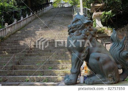 Komainu (Aun) and the stone steps of success at Atago Shrine, Minato-ku, Tokyo Komainu (Aun) and the stone steps of success at Atago Shrine, Minato-ku, Tokyo 82757850