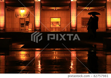 Yokohama Museum of Art Rainy day date 82757981