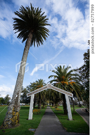 Nelson Nelson 82757999