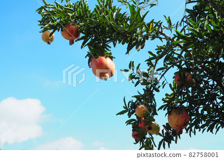 Groom and autumn sky 82758001