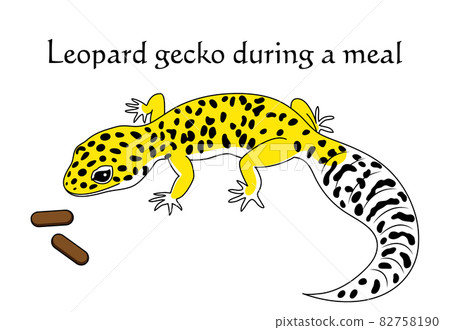 Leopard Gecko High Yellow Character Illustration Vector 82758190