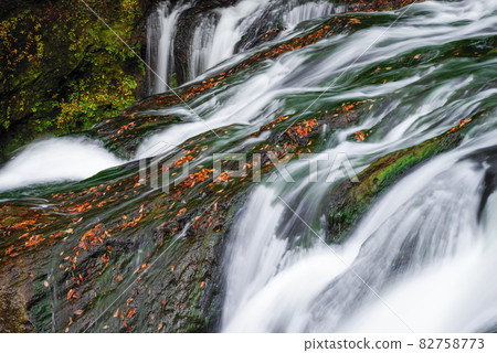 秋季奧日光 / 龍津瀑布 [櫪木縣] 82758773