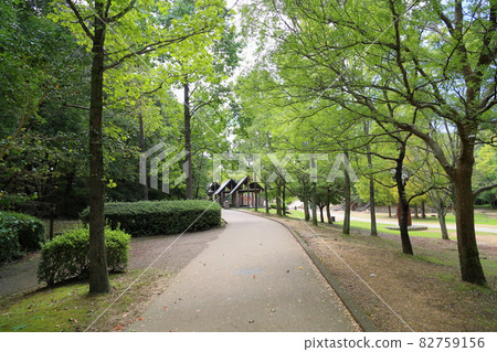Quiet promenade Quiet promenade 82759156