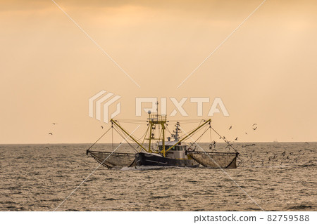 Trawler with dragnet fishing in the Wadden Sea, Buesum, North Sea, Schleswig-Holstein, Germany 82759588