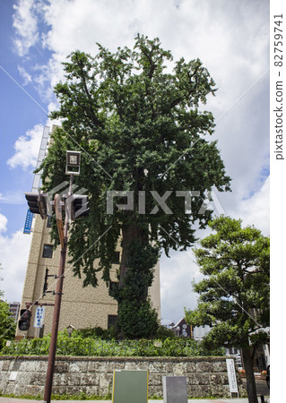 Utsunomiya City Asahicho Ocho Utsunomiya City Asahicho Ocho 82759741