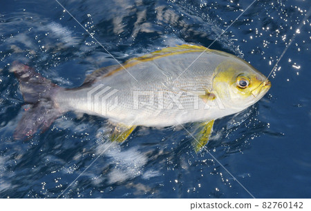 Grunt up Grunt up 82760142