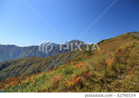 Happoone Happo Alpine Line [Hakuba Village, Nagano Prefecture] ・ Chubu Mountain National Park 82760154