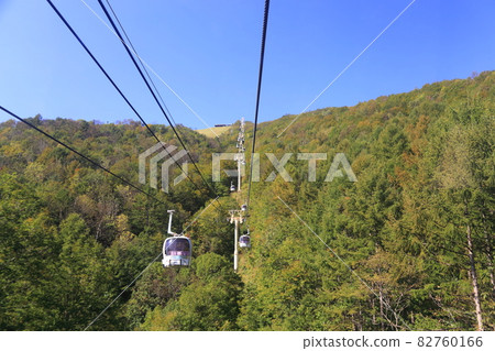 Happoone Happo Alpine Line [Hakuba Village, Nagano Prefecture] ・ Chubu Mountain National Park 82760166