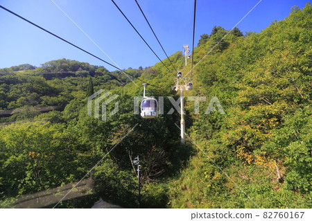 Happoone Happo Alpine Line [Hakuba Village, Nagano Prefecture] ・ Chubu Mountain National Park 82760167