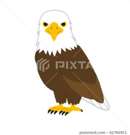 一隻鷹的插圖 一隻鷹的插圖 82760951