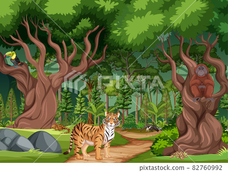 Rainforest or tropical forest scene with different wild animals 82760992