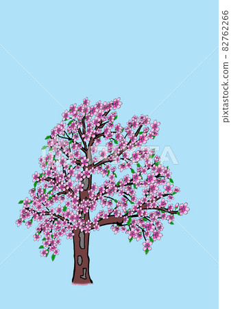Sakura 10 82762266