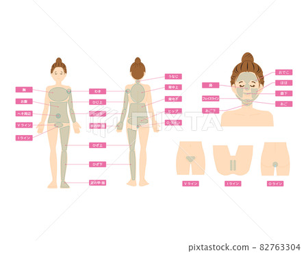 Body parts VIO Hair loss location Vector illustration Female 82763304