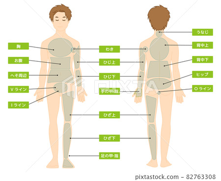 Male full-body illustration, beauty hair removal, vector illustration Male full-body illustration, beauty hair removal, vector illustration 82763308
