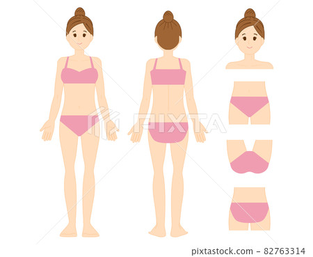 Body parts VIO Hair loss location Vector illustration Female 82763314