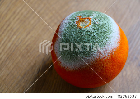 On the table is a spoiled orange. On the table is a spoiled orange. 82763538