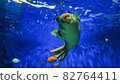 Dancing white-spotted puffer 82764411