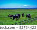 Endless grasslands and Hokkaido horses 82764422