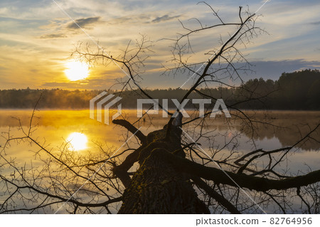 sunrise sun over pond, Trebon, Czech Republic sunrise sun over pond, Trebon, Czech Republic 82764956
