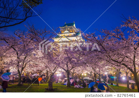 Osaka Castle with full bloom of Sakura 82765461