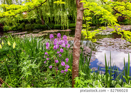 gardens of painter Claude Monet in Giverny, France gardens of painter Claude Monet in Giverny, France 82766028