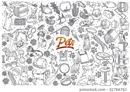 Hand drawn Pets doodle set with lettering 82766762