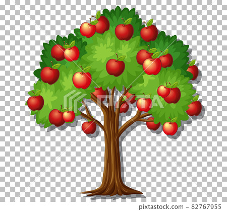 Apple tree on transparent background Apple tree on transparent background 82767955