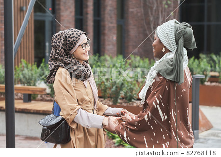 Meeting of two friends 82768118