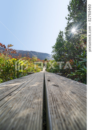 通往那須山（Mt. Chausu）葫蘆池的木路[櫪木縣那須鹽原市] 82768460