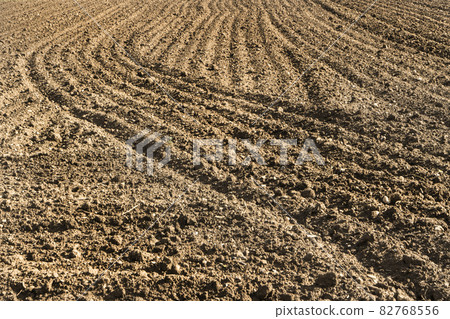 The marks in the soil 82768556