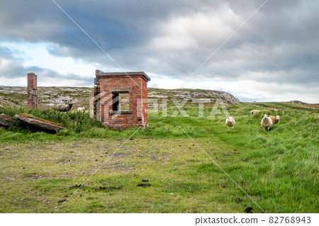 The ruins of Lenan Head fort at the north coast of County Donegal, Ireland. 82768943