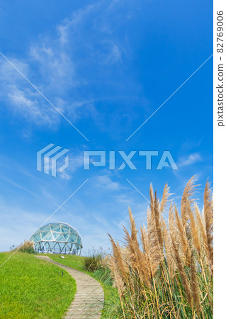 愛知世博紀念公園，盛開的蒲葦<愛知縣長手市> 82769006