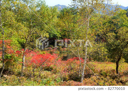 Shiga Kogen Lakes Shiga Kogen Lakes 82770010