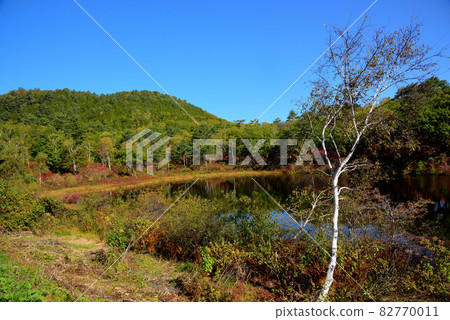 Shiga Kogen Lakes Shiga Kogen Lakes 82770011