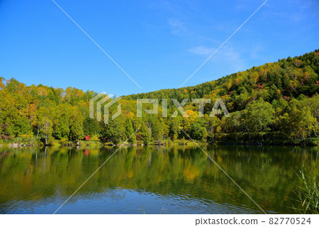 Shiga Kogen lakes and marshes greeted with autumn leaves Shiga Kogen lakes and marshes greeted with autumn leaves 82770524