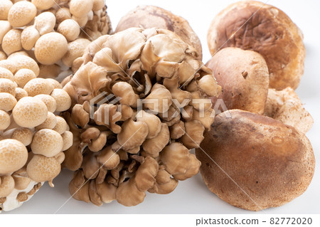 三種蘑菇。山毛櫸蘑菇、舞茸蘑菇和香菇。 三種蘑菇。山毛櫸蘑菇、舞茸蘑菇和香菇。 82772020
