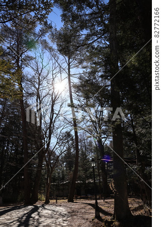 [Nagano Prefecture] Karuizawa Beautiful forest, water and sky 82772166