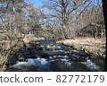 [Nagano Prefecture] Karuizawa Beautiful forest, water and sky 82772179