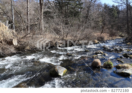 [Nagano Prefecture] Karuizawa Beautiful forest, water and sky 82772180